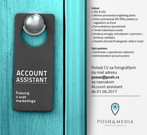 Account Assistant